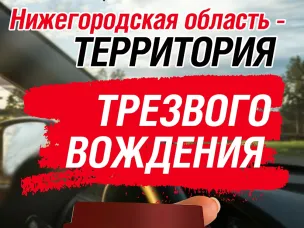 Cообщи о пьяном водителе, просто позвонив "112",  получи денежное вознаграждение